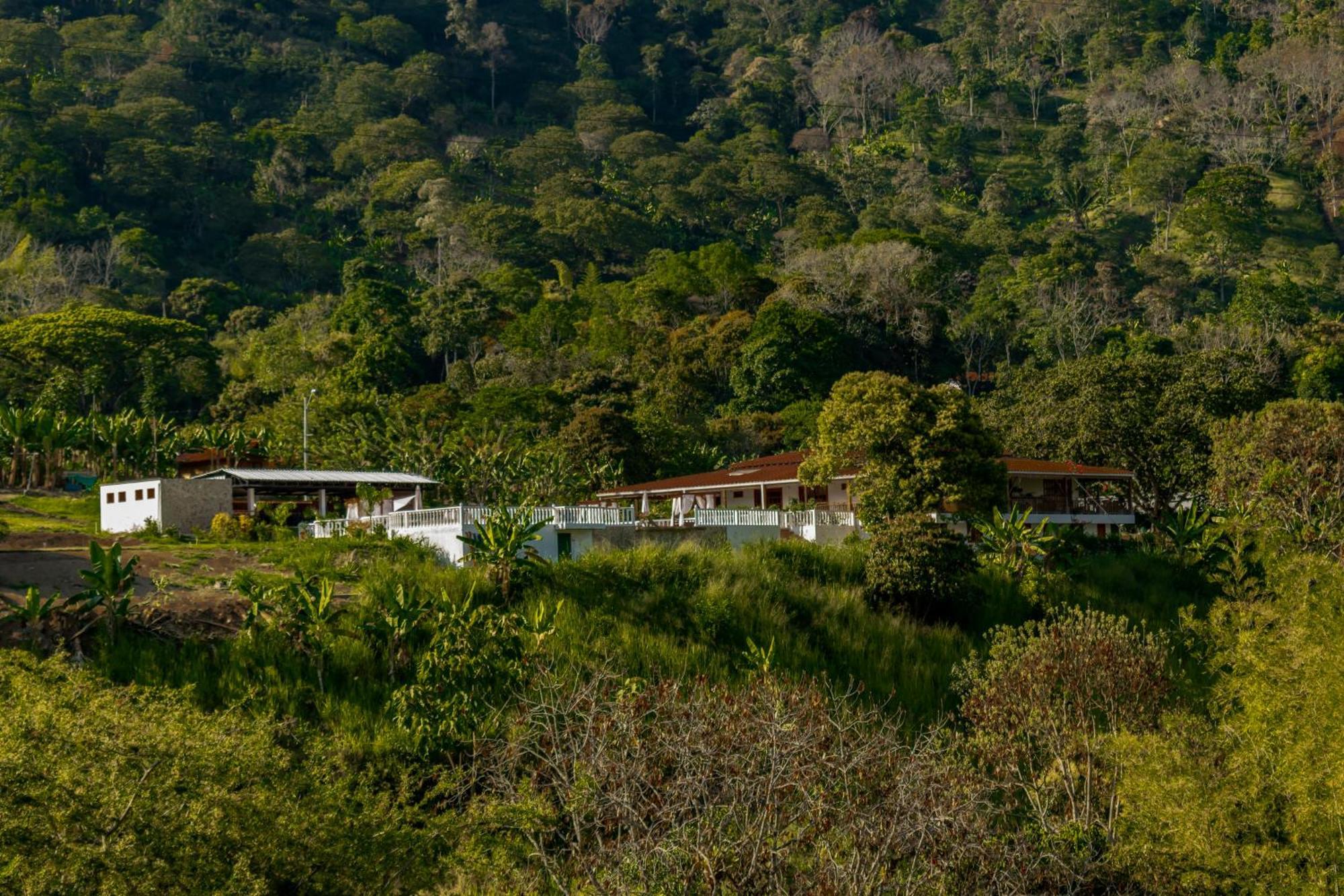Hotel Campestre La Francesina Betania Bagian luar foto